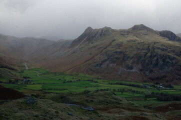 Fototapeta premium Pike