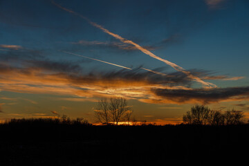 sunset over the field