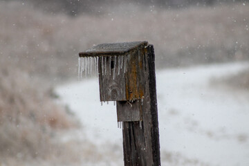 Ice icicles Covered bird house on fence post in November