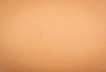 brown eggshell with visible details. background or textura