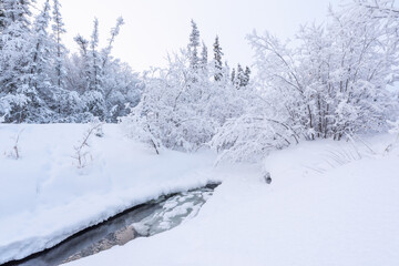 A stunning snow covered and surrounded creek during a winters day. Winter white wonderland with open water, icy, ice on sides of shore and stunning trees. 