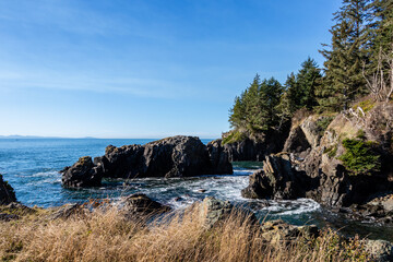 Obraz premium seascape of rugged rocky coast of the Pacific Ocean on Vancouver Island, Canada