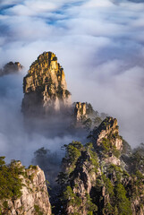 Blick auf die Wolken und die Kiefer auf den Berggipfeln des Huangshan-Nationalparks, China. Landschaft des Berges Huangshan der Wintersaison. UNESCO-Weltkulturerbe, Anhui China.