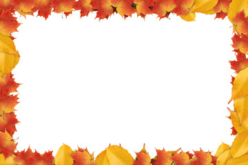 Yellow and Orange Leaves Full Border Frame on White Background