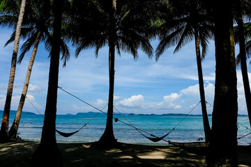 Hammocks between palm trees on paradise beach of Siargao island in the Philippines