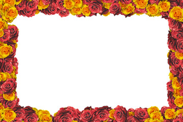Yellow and Red Flowers Full Border Frame on White Background