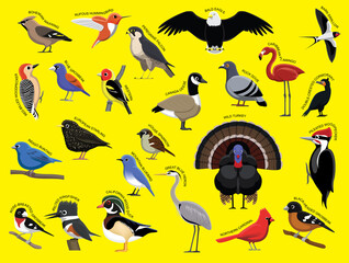 Fototapeta premium US Birds with Name Cartoon Character Set 1
