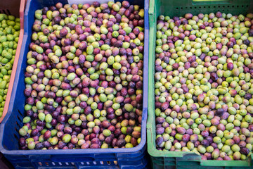 Newly collected olives as health food in the market
