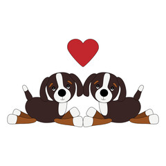 Bernese mountain dog puppies in love