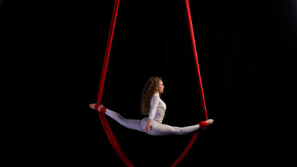 aerial girl professional circus performer performs acrobatic elements twist, flexibility, grace
