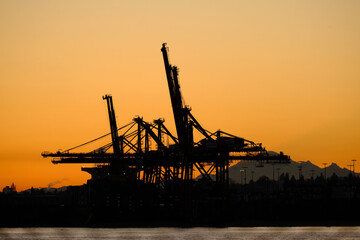 Fototapeta na wymiar silhouette of a crane at sunset
