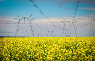 Transmission towers in the middle of a yellow canola field in bloom. High voltage power line at Spring