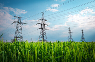 High voltage lines and power pylons in a flat and green agricultural landscape on a sunny day with...
