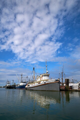 Fototapeta premium Steveston Harbour Fishboats in Sunshine. Commercial fishboats in the harbor of Steveston, British Columbia, Canada near Vancouver. Steveston is a small fishing village on the banks of the Fraser Rive 