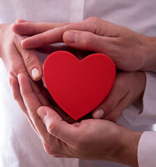 Obraz premium Couple in love holding a red heart in their hands. Love concept. Couple hands. People. Lovely. 