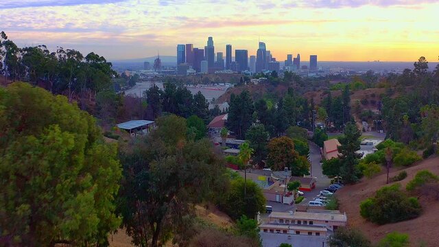 Flying away from the LA skyline passing by a lot of trees.