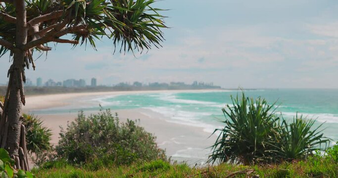 Coastal Pandanus Trees with Blue Ocean and Waves in the Background