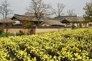 In South Korea, Hahoe has been designated a traditional folk village, with a blend of thatched-roof peasant houses and tiled-roof villas of the Joseon Dynasty.