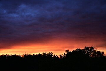 Sunset colouring clouds in orange, red, purple and blue above dark trees silhouettes on the horizon