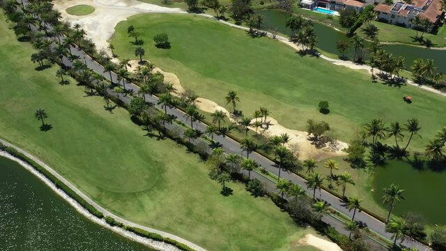 Golf course with roads, coconut palm trees and houses. Aerial view. Dominican Republic