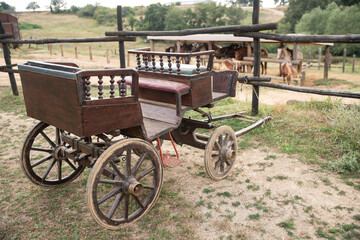 Fototapeta na wymiar A Wooden Old Horse Carriage in an Old Cowboy Farm with a Beautiful Pony and Horses