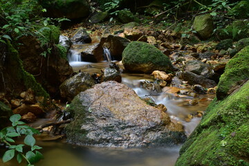 Arroyos