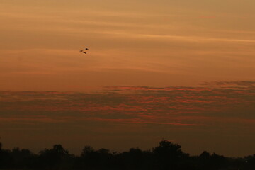 The orange light from sunrise ,silhouette and clouds sky in the morning