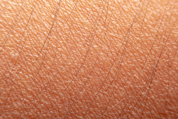 Close up of Human skin and hair. Texture of People skin.