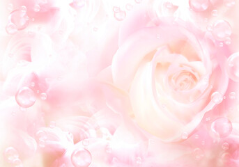 Fototapeta na wymiar abstract background of petal and rose for beauty product