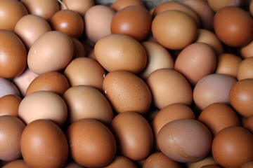 dozens of chicken eggs ready to sell.