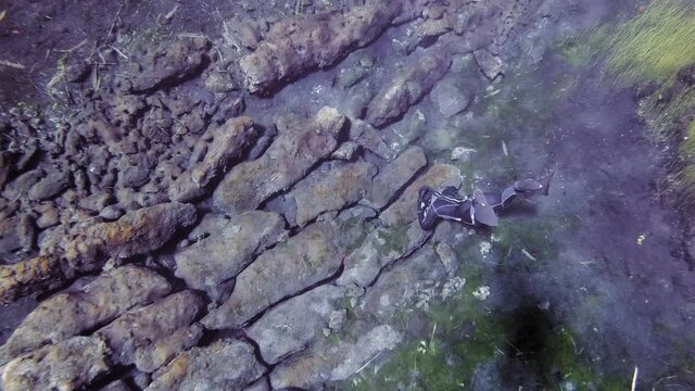 Snorkeling diver exploring the rocky seabed