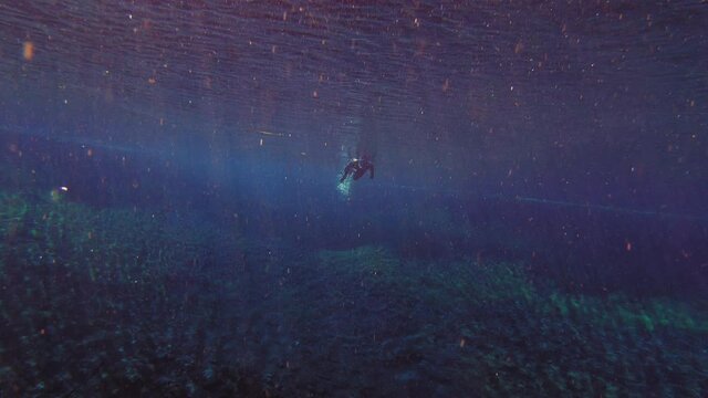 Diver exploring in the dark waters full of natural debris