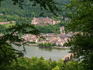 Fototapeta na wymiar Blick auf das Schloss und die Stadt Heidelberg