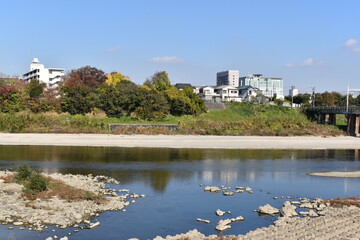 Fototapeta premium view of the river in the city