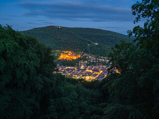 Blick auf die Stadt Heidelberg zur Blauen Stunde