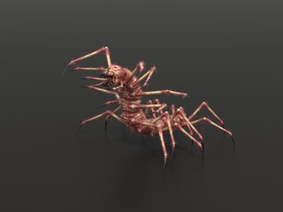 Monster centipede