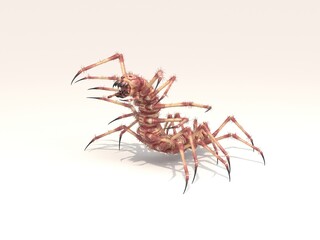 Monster centipede