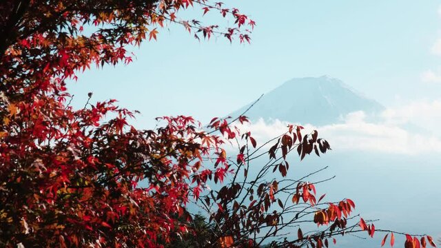 富士山と河口湖を望むハイキングコースからみた秋の景色