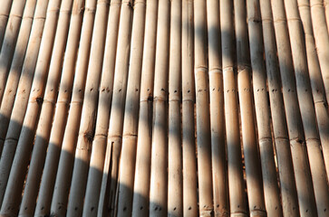 texture of yellow bamboo wall, background from bamboo