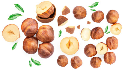 Hazelnuts isolated on white background. Top view. Flat lay.