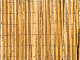 bamboo details background texture in close up biew.
