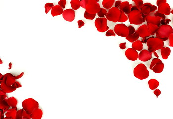 Flowers background. Red roses petals frame border on white background. Top view. Copy space 