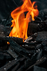 manos encendiendo carbón para un asado , fuego en asador , grill , fuego 