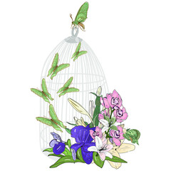 Vector illustration of a cage with butterflies and flowers Freehand drawing of decorative cage  with butterflies, lily, iris and orchidea flowers, blank for designers, luxury logo, icon, vintage © Anastasiia
