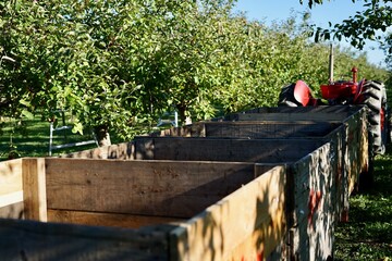 Red garden tractor with a trailer with empty wooden boxes for harvesting fruits, sunny day, harvest time, Quebec, Canada