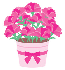 ピンクのカーネーションの鉢植え