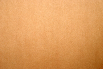 Sheet of brown paper texture for background.
