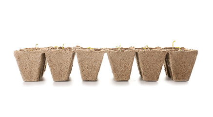Peat pots with soil and green seedling on white background