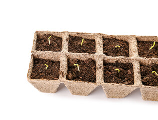 Peat pots with soil and green seedling on white background