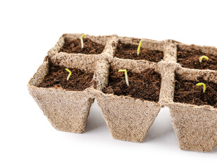 Peat pots with soil and green seedling on white background